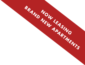 Now Leasing Brand New Apartments